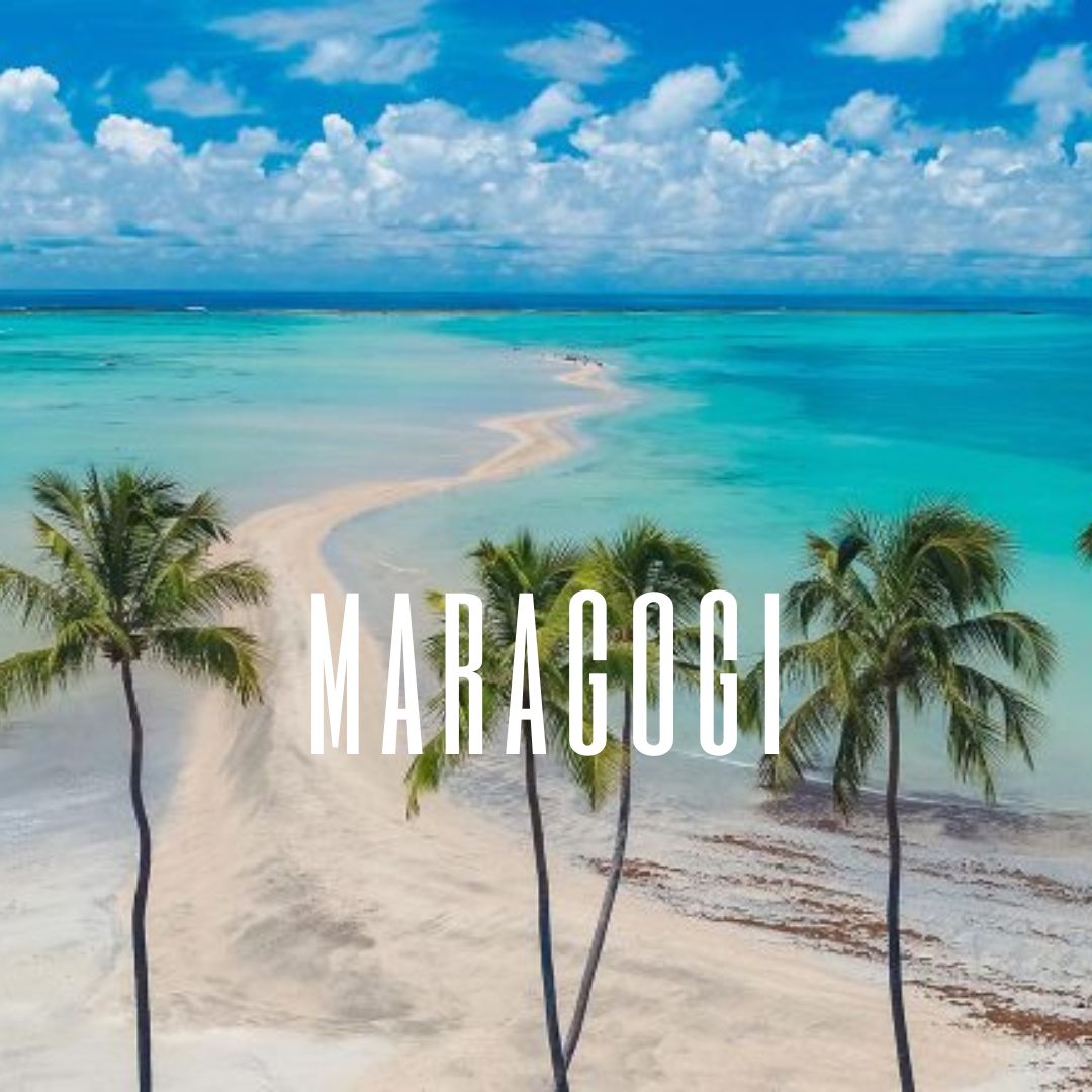 Cópia de Texto do seu parágrafo (14)